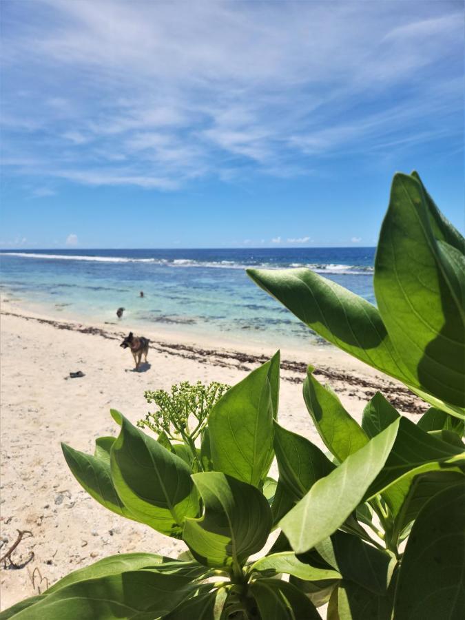 Green Villa Moorea Temae エクステリア 写真